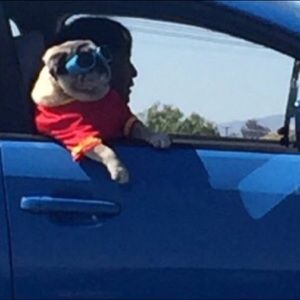 Meet your Posher, Taylor